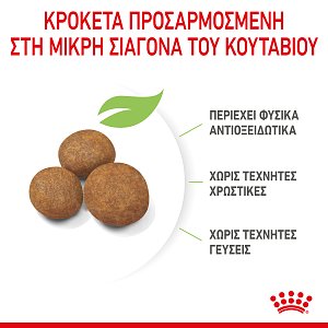 ROYAL CANIN MAXI PUPPY 15KG -15%