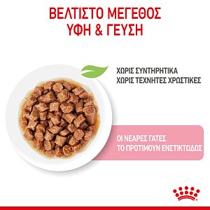 Royal Canin  FHN Kitten Steril Grav 85g