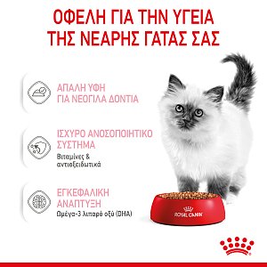 Royal Canin  FHN Kitten Steril Grav 85g
