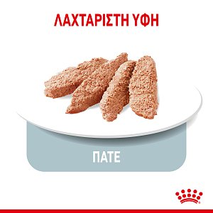 Royal Canin CCN Light Loaf 85g