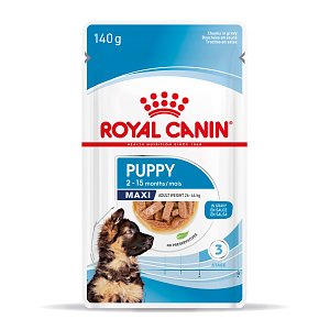Royal Canin SHN Maxi Puppy 140gr