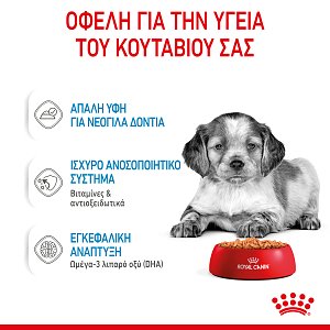 Royal Canin  SHN Medium Puppy 140g
