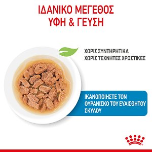 Royal Canin SHN Mini Puppy 85g