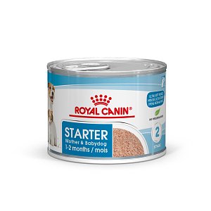 Royal Canin CHN Starter Mousse CAN 195g