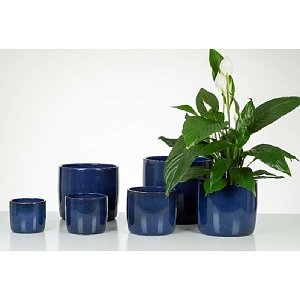 COVER-POT MYSTIC BLUE 900/24