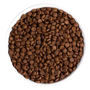 Ambrosia Grain Free Cat Sterilized Fresh Duck & Turkey 5kg