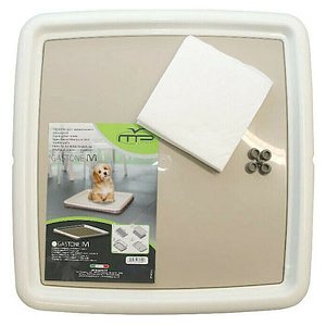 ΒΑΣΗ ΓΙΑ ΠΑΝΕΣ ΕΚΠΑΙΔΕΥΣΗΣ ΜΕΓΑΛΗ