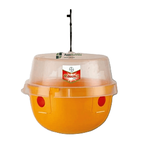 DESIS TRAP ΔΑΚΟΣ