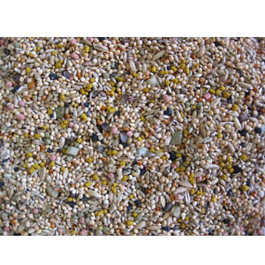 BIRDELICIOUS BUDGIES 800GR