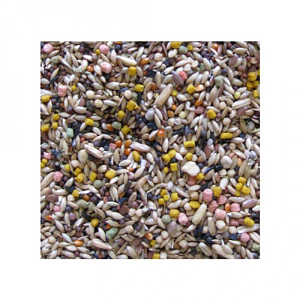 BIRDELICIOUS CANARIES 800GR