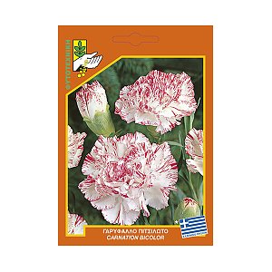 ΦΑΚΕΛΛΑ ΓΑΡΥΦΑΛΛΟ ΠΙΤΣΙΛΩΤΟ