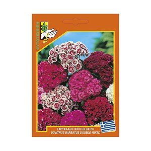 ΦΑΚΕΛΛΑ ΓΑΡΥΦΑΛΛΟ ΠΟΙΗΤΩΝ ΔΙΠΛΟ