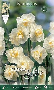 ΝΑΡΚΙΣΣΟΣ SIR WINSTON CHURCHILL