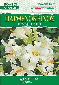 ΖΟΥΜΠΟΥΛΙ WOODSTOCK