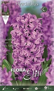 ΖΟΥΜΠΟΥΛΙ MISS SAIGON