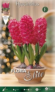 ΖΟΥΜΠΟΥΛΙ JAN BOS