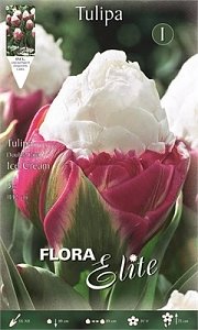 ΤΟΥΛΙΠΑ ICE CREAM