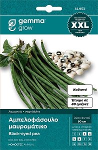 12953 853 ΦΑΣΟΛΙ ΑΜΠΕΛΟΦΑΣΟΥΛΟ ΚΑΘΙΣΤΟ DALL' OCCHIO ΣΠΟΡΟΙ ΦΑΚΕΛΟΣ GEMMA XXL