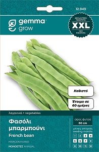 820 ΦΑΣΟΛΙ ΜΠΑΡΜΠΟΥΝΙ ΑΣΠΡΟ ΚΑΡΠΟ ΚΑΘΙΣΤΟ MARCONI ΣΠΟΡΟΙ ΦΑΚΕΛΟΣ GEMMA XXL