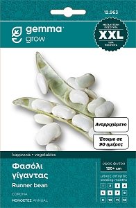 900 ΦΑΣΟΛΙ ΜΠΟΥΡΛΟΤΟ ΧΑΝΤΡΑ ΑΝΑΡ/ΝΟ FOCUS ΣΠΟΡΟΙ ΦΑΚΕΛΟΣ GEMMA XXL