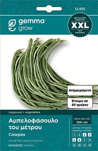 871 ΦΑΣΟΛΙ ΑΜΠΕΛΟΦΑΣΟΥΛΟ ΤΟΥ ΜΕΤΡΟΥ ΑΝΑΡ/ΝΟ STRINGA BGLFAR017 ΣΠΟΡΟΙ ΦΑΚΕΛΟΣ GEMMA XXL