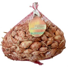 ΚΟΚΚΑΡΙ ΜΑΚΡΥ ΘΕΣΠΙΩΝ ΕΛΛΗΝΙΚΟ 14/21