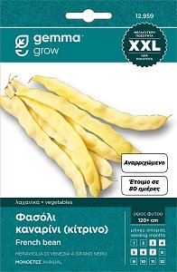 875 ΦΑΣΟΛΙ ΤΣΑΟΥΛΙ ΑΝΑΡ/ΝΟ BLUE LAKE BGLFAR004 ΣΠΟΡΟΙ ΦΑΚΕΛΟΣ GEMMA XXL