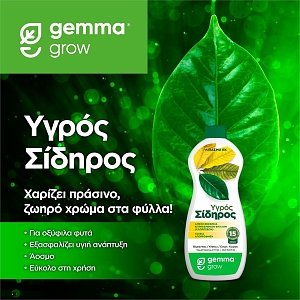 Υγρος Σιδηρος Gemma 300ml