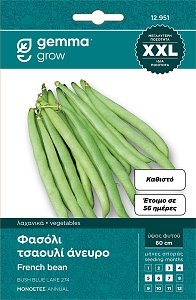 Φασόλι Τσαουλί Άνευρο Καθιστό 826 Bush Blue Lake 274 φάκελος σπόρων XXL GEMMA 