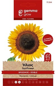Ηλιος Βρωσιμος Σποροι Φακελος GEMMA