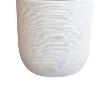 SHABBY CONCHINO RIGATO CORI 35 BI PERLA