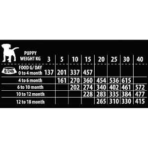 Kudo Dog Junior Medium&Maxi Turkey/Duck 12kg+2kg