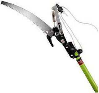 ΠΡΙΟΝΟΨΑΛΙΔΟ ΚΟΡΥΦΗΣ ΜΕ ΚΟΝΤΑΡΙ