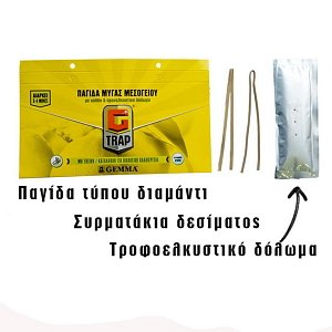 ΠΑΓΙΔΑ ΜΥΓΑΣ ΜΕΣΟΓΕΙΟΥ