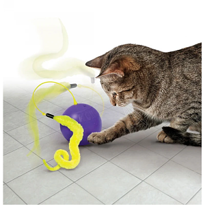 Kong Purrsuit Whirlwind 