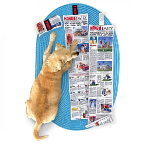 Kong Daily Newspaper XL