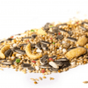 ΠΑΠΑΓΑΛΟΤΡΟΦΗ ΓΙΑ ΜΕΓΑΛΟΥΣ ΠΑΠΑΓΑΛΟΥΣ 1kg