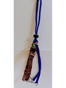 ΕΚΠΑΙΔΕΥΤΙΚΟ ΣΑΜΑΡΑΚΙ SMALL