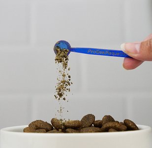 PLAQUEOFF ΣΚΟΝΗ ΓΙΑ ΣΚΥΛΟΥΣ 60gr