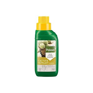 ΛΙΠΑΣΜΑ POKON CACTUS 250ML