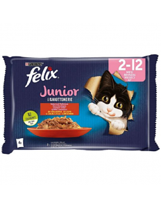 Felix Jnr Agail GiJ MVCtrysd 12(4x85g)IT
