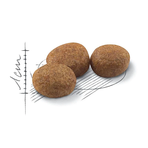 ΓΑΤΟΤΡΟΦΗ ROYAL CANIN FHN STERILISED 2kg