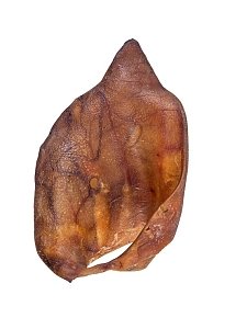 Αυτί Χοίρου