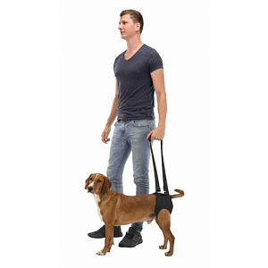 Βοήθημα Περιπάτου Trixie Walking Aid Medium 55-65cm 10-25kg Μαύρο