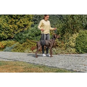 Βοήθημα Στήριξης Trixie Lifting Aid Large 65-80cm Μαύρο