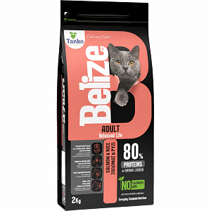 Belize Cat Salmon & Rice 2kg