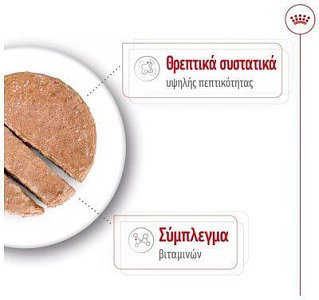 ΚΟΝΣΕΡΒΑ ΣΚΥΛΟΥ SHN MAXI ADULT LOAF 410Gr