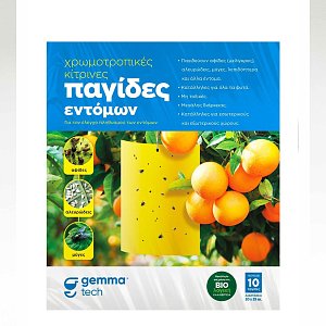 ΠΑΓΙΔΑ ΕΝΤΟΜΩΝ ΔΟΛΩΜΑΤΙΚΗ FLY CATCHER 