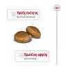 Royal Canin Maxi Light 12kg +12x85grΦακελάκια Δώρο