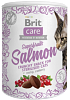ΛΙΧΟΥΔΙΑ BRIT CARE CAT SN SUPERF.SALMON-CRANB STER.100g
